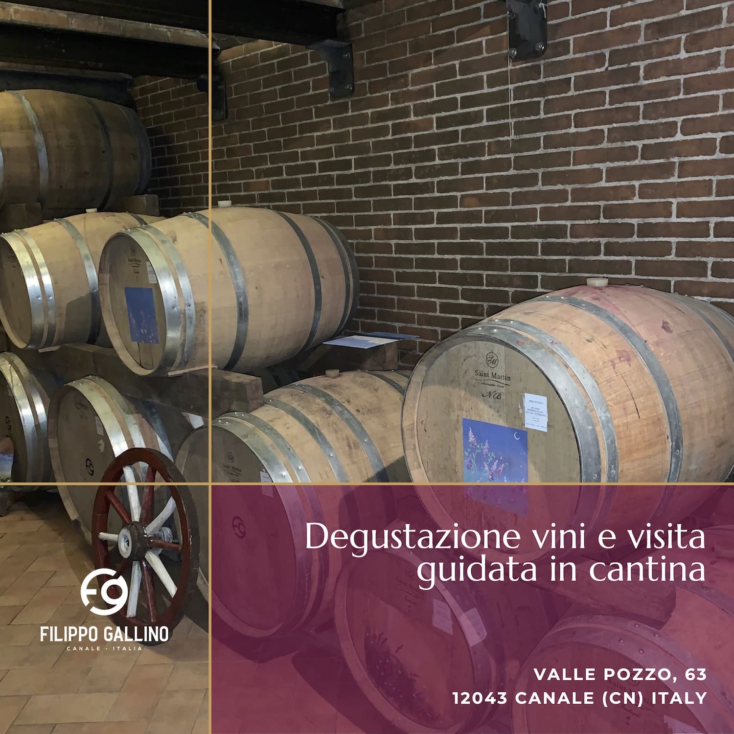 Degustazione vini e visita guidata in cantina - Filippo Gallino