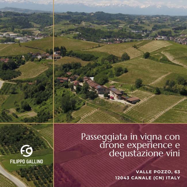 passeggiata vigna drone experience