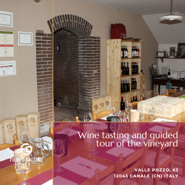 tour vineyard