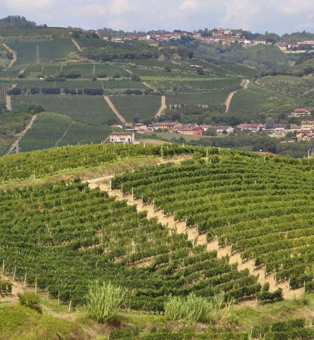 Il territorio del roero